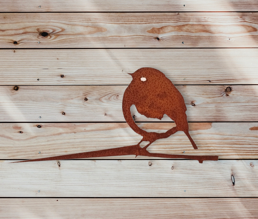 Roodborst - Afbeelding 2