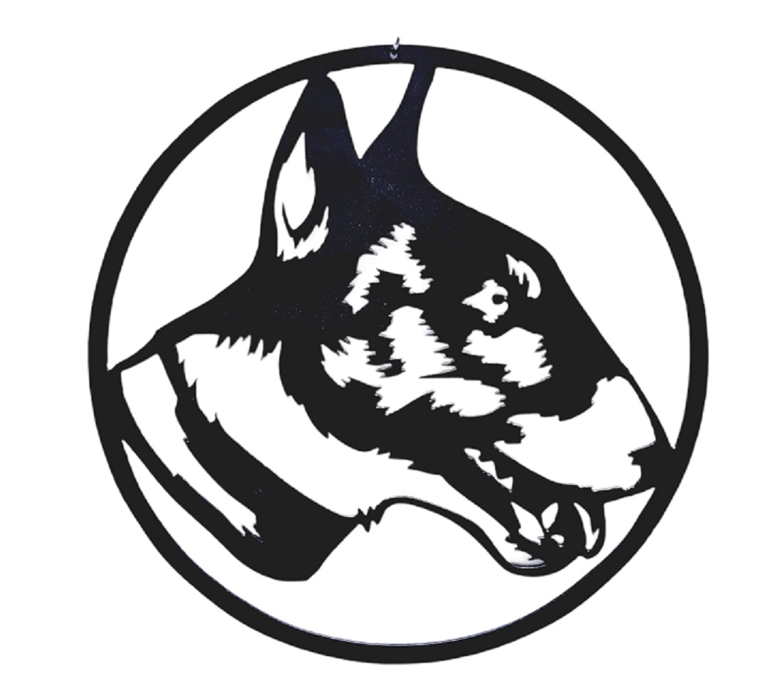 Pitbull (zwart)