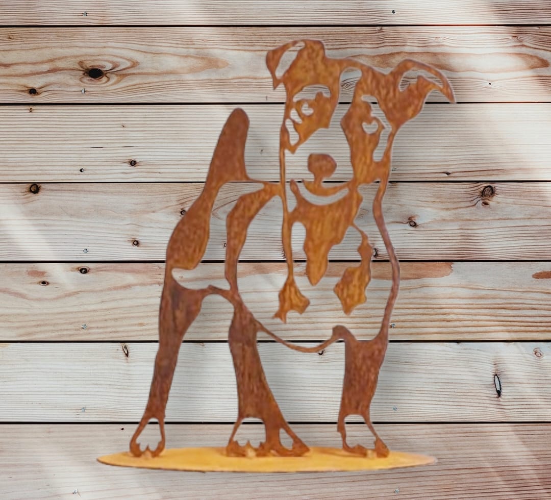 Jackrussel - Afbeelding 2