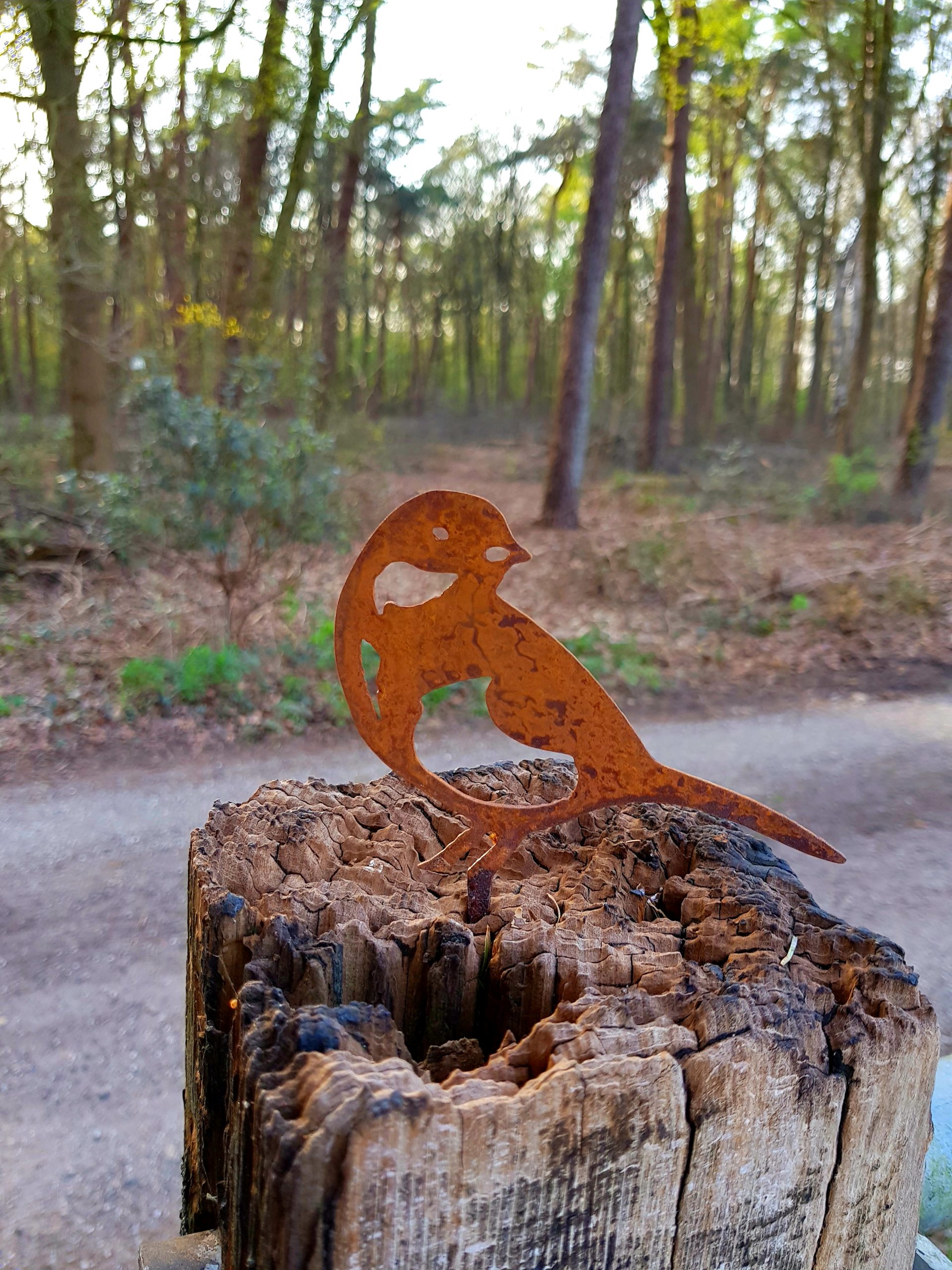 Koolmees nr. 2 - Afbeelding 5